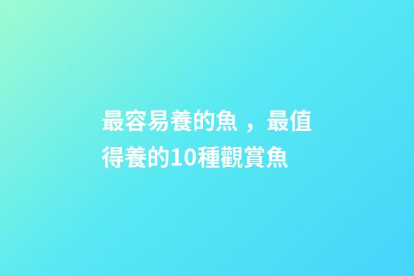 最容易養的魚，最值得養的10種觀賞魚-第1張-觀點-玄機派